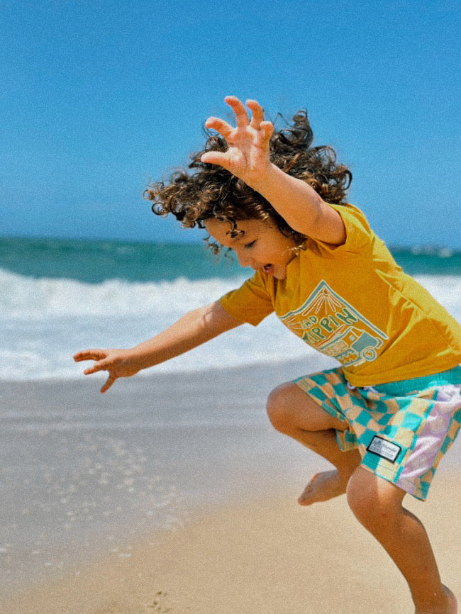 SUMMER CHECK SEEKER BOARD SHORT BOYS