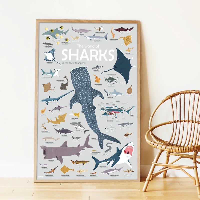 POSTERS WORLD OF SHARK