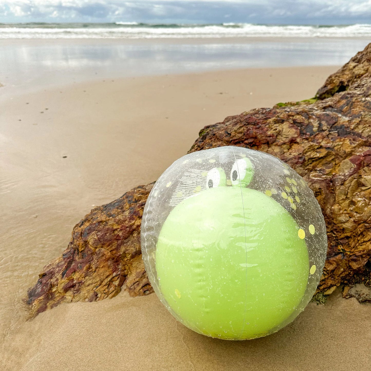 3D INFLATABLE BEACH BALL COOKIE THE CROC